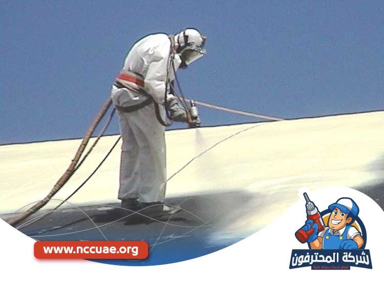 عزل اسطح