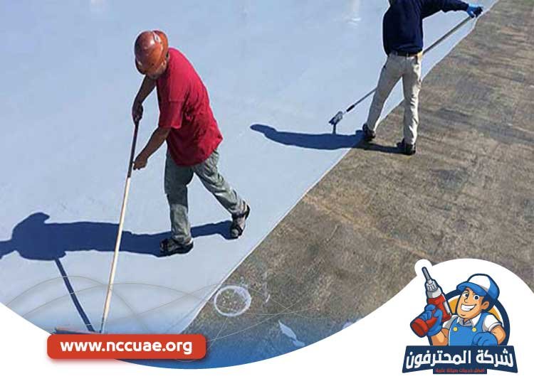 عزل اسطح