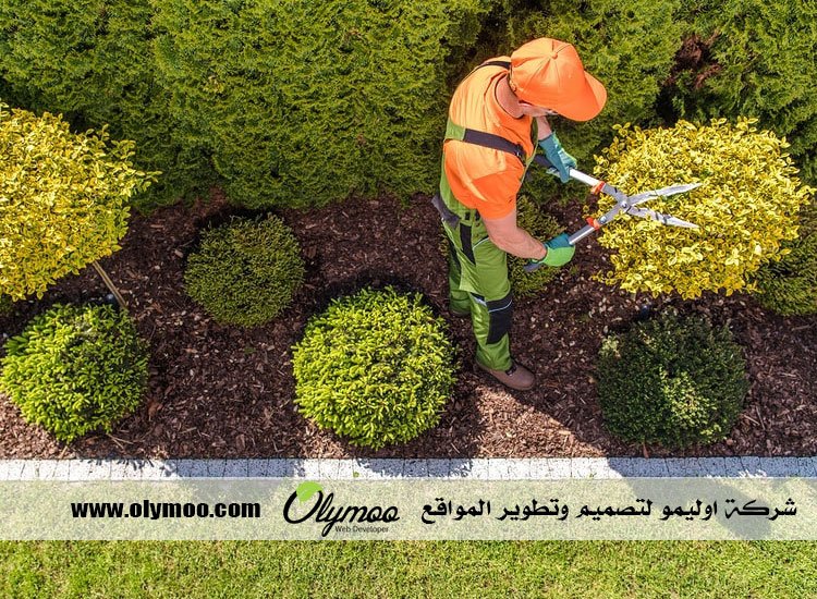 شركة تنسيق حدائق بالرياض