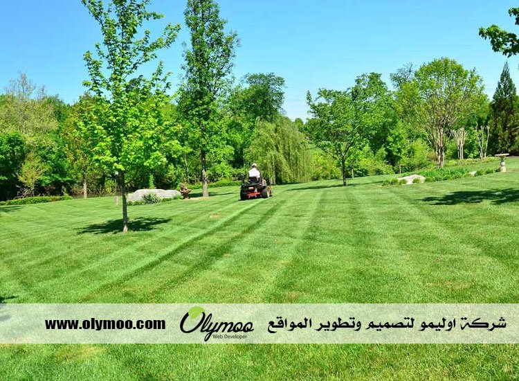 شركة تنسيق حدائق بالرياض