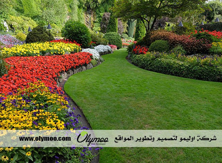 شركة تنسيق حدائق بالرياض