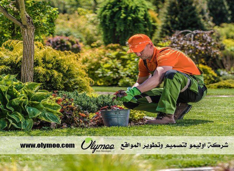 شركة تنسيق حدائق بالرياض