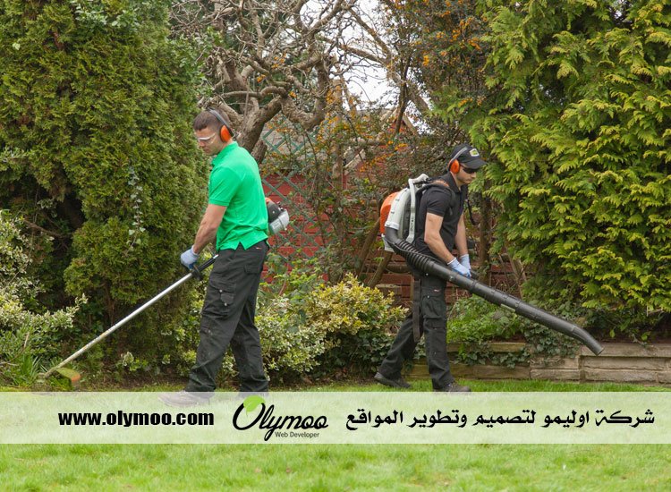 شركة تنظيف في دبي