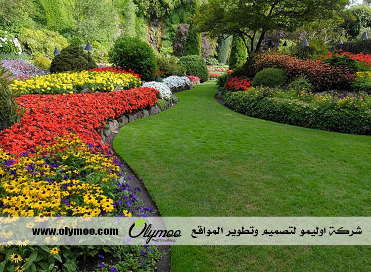 تركيب عشب صناعي بالرياض