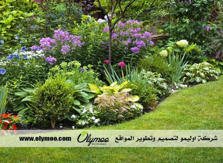 تنسيق حدائق